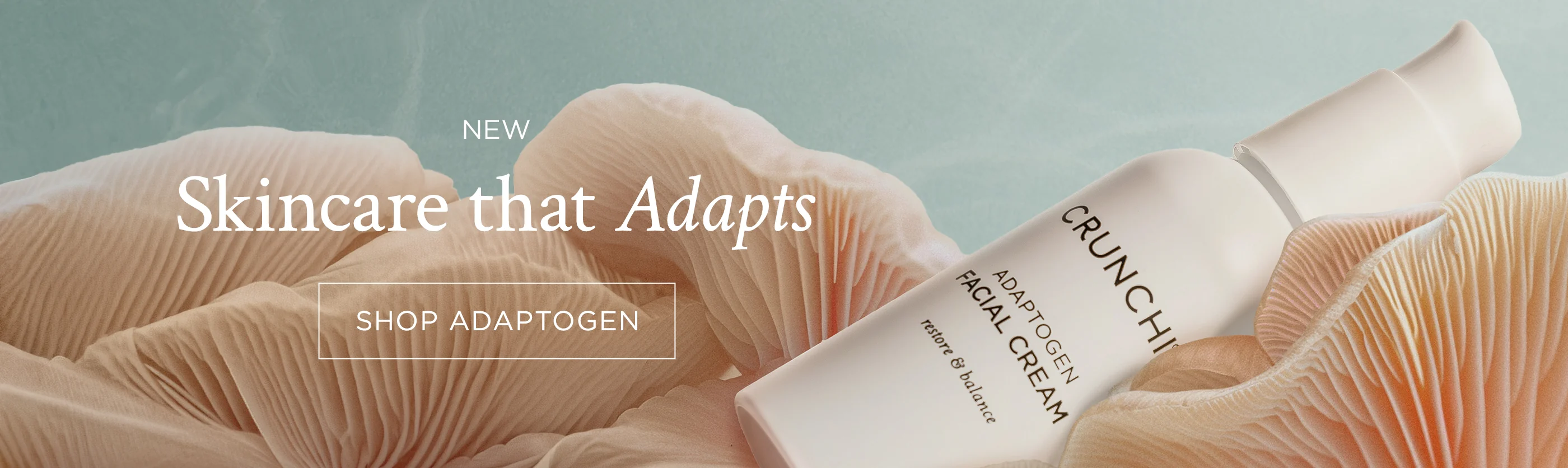 Clean Beauty Without Compromise